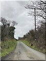 Country lane to Gignog in SA62 5PT