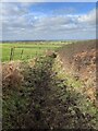 Heavily poached bridleway in SA62 5PS