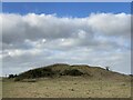 Tumulus near Plumstone Rock in SA62 5PN