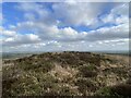 Heather-covered tumulus in SA62 5PN