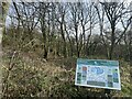 Portfield Gate Community Woodland in SA61 1DG