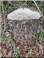Milestone - Carmarthen 2 in SA31 3QU