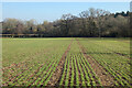 Farmland, Burghclere in RG20 4AF