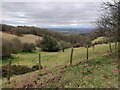 Valley on the southern edge of Walton Hill in B62 0LX