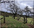 Gate on the south slopes of Walton Hill in DY9 9RR