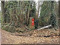 Postbox at West Street Lane in TN21 0BY