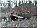Jim's Bridge over the Gellyburn in PH1 4JD