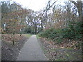 Footpath into Warley Woods, Bearwood in B68 0LH