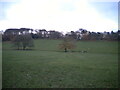 Eastern part of Warley Park in B67 5LT