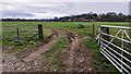 Field gateway on west side of Crooked Holme in CA6 4NS