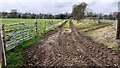 Farmland access track at west end of Crooked Holme in CA6 4NS