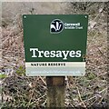 Tresayes Signage in PL26 8HF