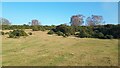 Uphill view towards the trig point on West Wellow Common in SO51 6DD