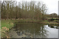 Small pond by Manor House Farm in CB23 4NF