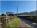 Telegraph pole outside Ranscombe Farm in SO24 9SF