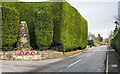 A827 passing war memorial at Fearnan in PH15 2PF