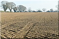 Brandiston: Ploughed field in NR10 4PQ