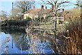 Wood Dalling: Church Cottages and the village pond in Wood Dalling