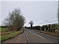 Looking west-southwest along the road to Up Somborne in SO21 2PH