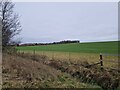 Field system seen from the Up Somborne Road in SO21 2PH