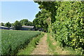Field edge bridleway in TN25 6JQ