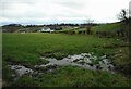 Damp corner of a field in G76 8RE