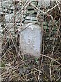 Milestone - Brecon 6 in LD3 9RH