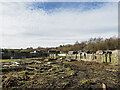 Abandoned allotments in DH7 0DQ