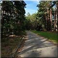 Tarmac Path, Buckler's Forest in RG40 3DR