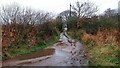 Muddy path to Brightlingsea in CO7 0AR