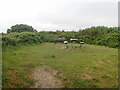Picnic spot on the Millennium Coastal Path in SA14 9SH