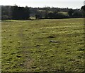 Footpath crossing field in DA3 8PJ