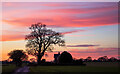 Tree & House at sundown, Tendring Green in CO16 0DE