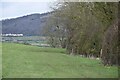 Field beside the top of Coombe Lane in BS26 2JS