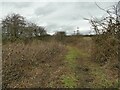 Footpath along the old railway line towards Tingley viaduct in WF3 2EF