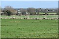 Farmland north of Blackford in BS28 4NS
