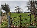 Field off Templeton Road in RG17 9AE