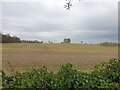 Farmland off Templeton Road in RG17 9AE
