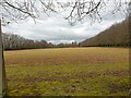 Field off Bitham Lane in RG17 0RP