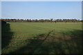 Field by Tunstead Road in NR12 8QR
