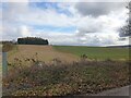 Farmland off Soley Road in RG17 0TJ
