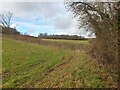 Fields off Soley Road in RG17 0TL