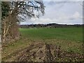 Fields off Fisher's Lane in RG18 9LS