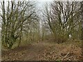 Path through Sissons Wood in LS10 4JN