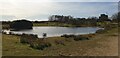 Pond at Greenham Common in RG19 6HD