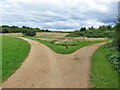 Path junction, Bedfont Lakes Country Park in TW14 8EE