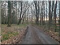 Horris Hill byway towards Penwood Road in RG20 0LP