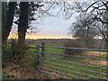 Farm gates off Oakley Lane in RG20 0LP