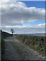 Track towards Blaen Nant y Garn in SA32 7SZ