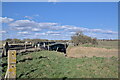 Bridge over fenland drain in PE11 3BD